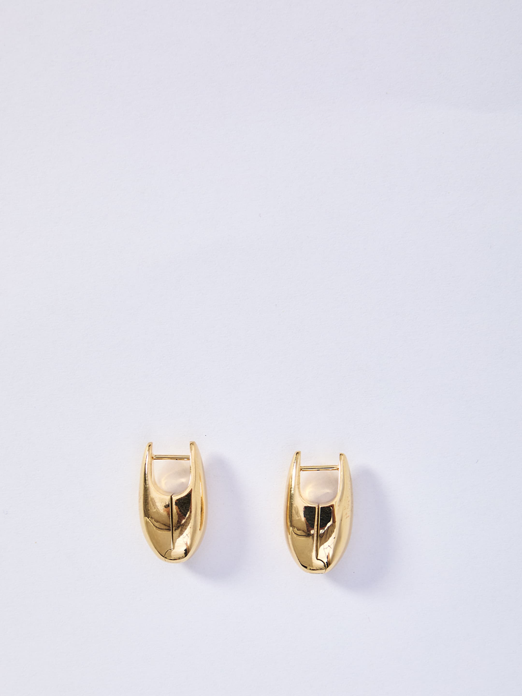 Bottega Veneta Ellipse Small Earrings