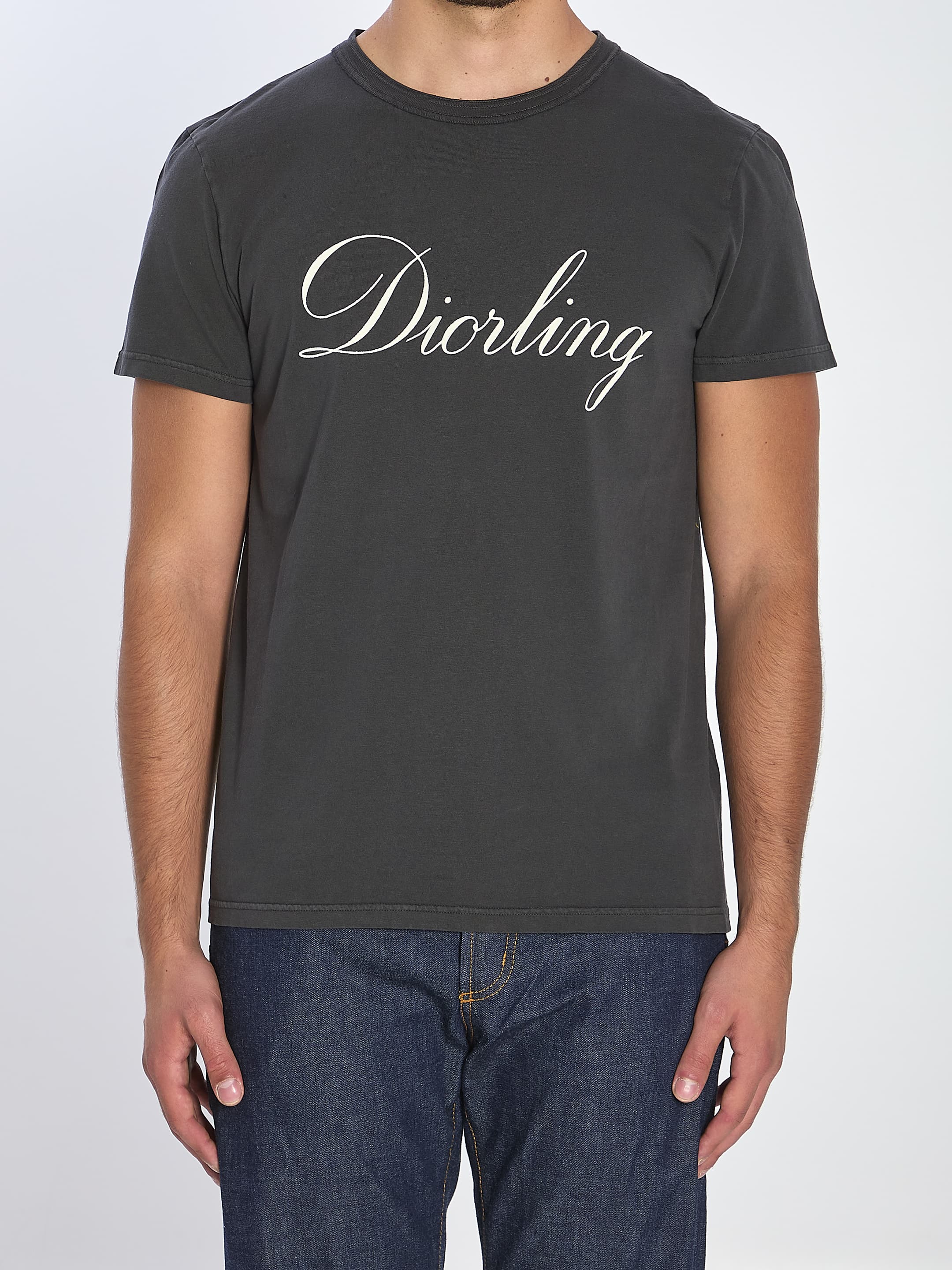 Dior HOMME Diorling T-shirt