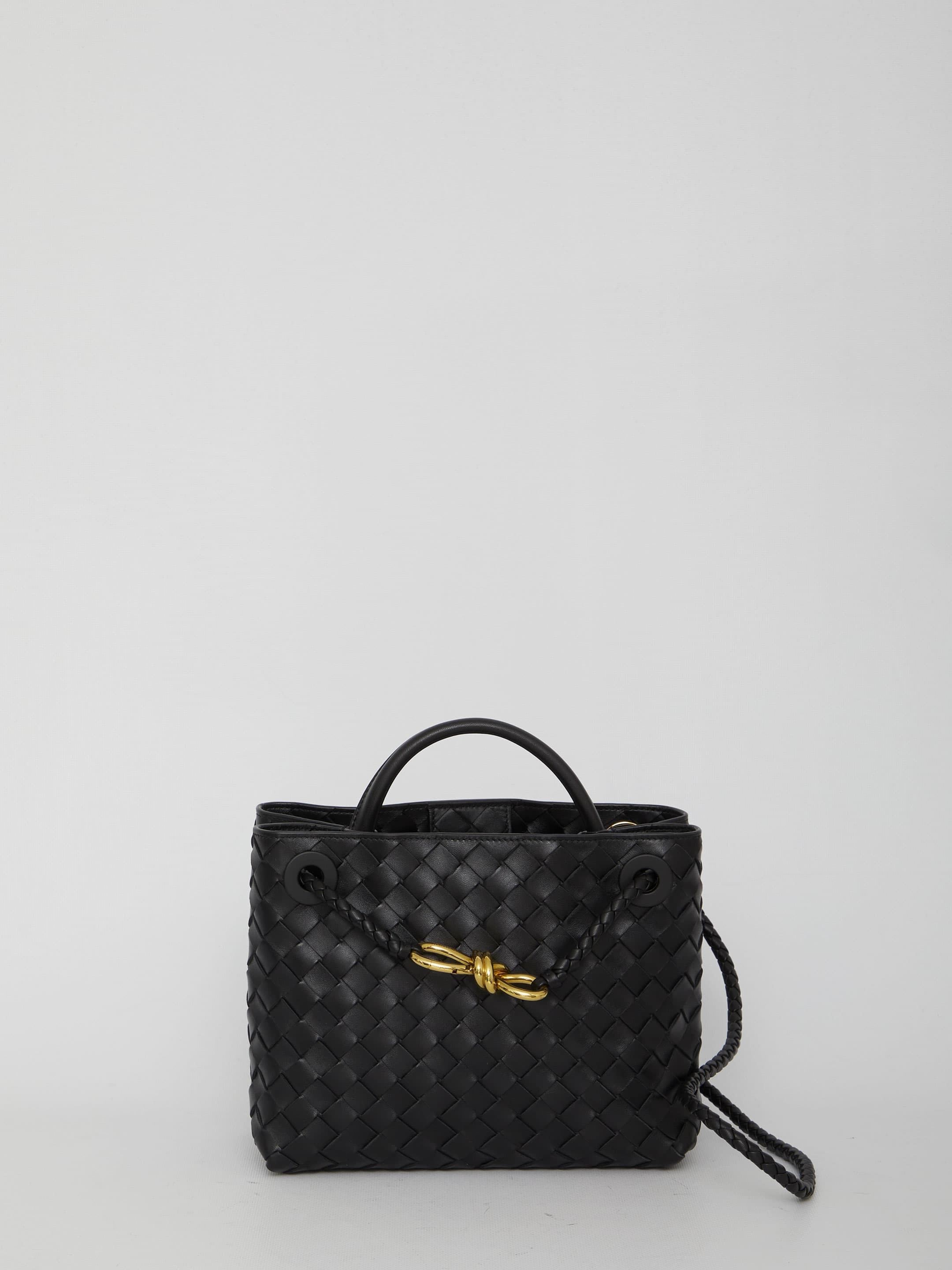 Bottega Veneta Andiamo Bag Small